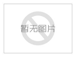 中建四局德昌電機(jī)項目